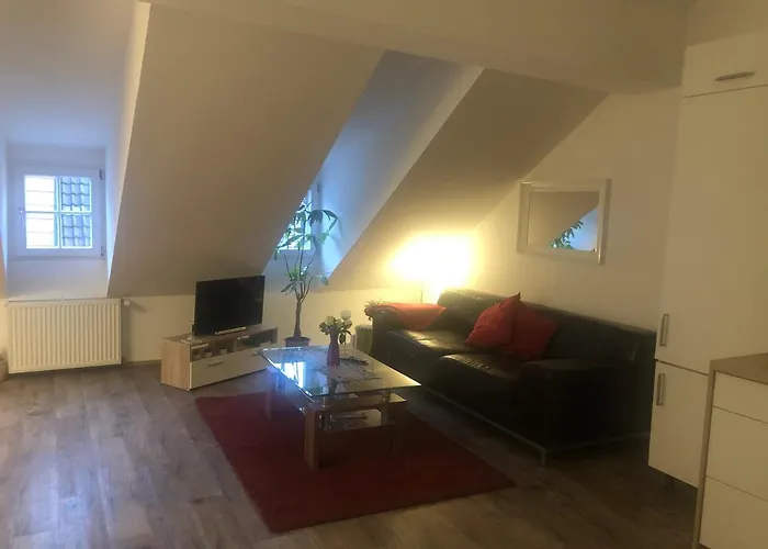 Old Bridge View דירה היידלברג