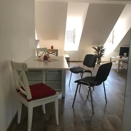 Old Bridge View * 海德堡